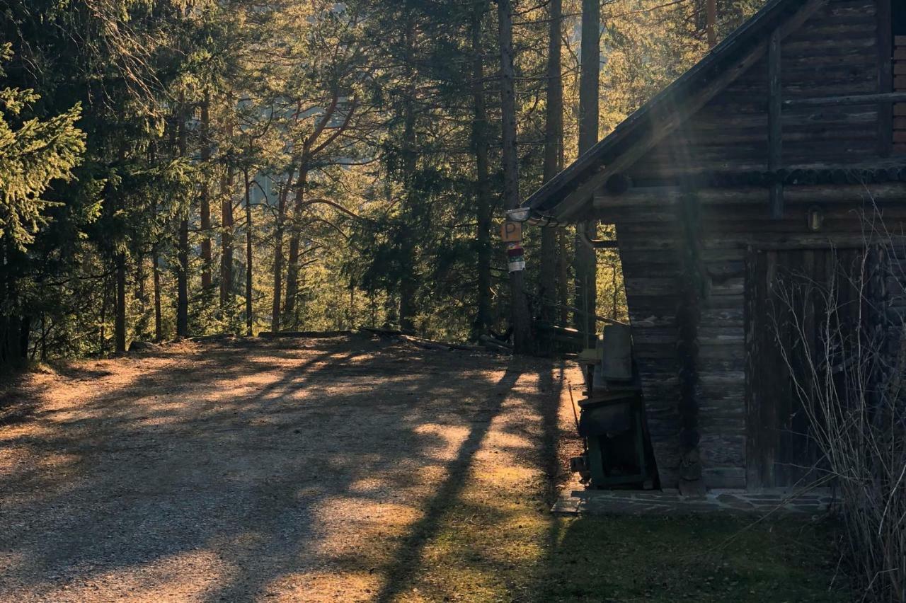Ferienhaus Im Wald Edelschrott Экстерьер фото